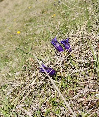 Fruehstueckspension Knappaschneider *